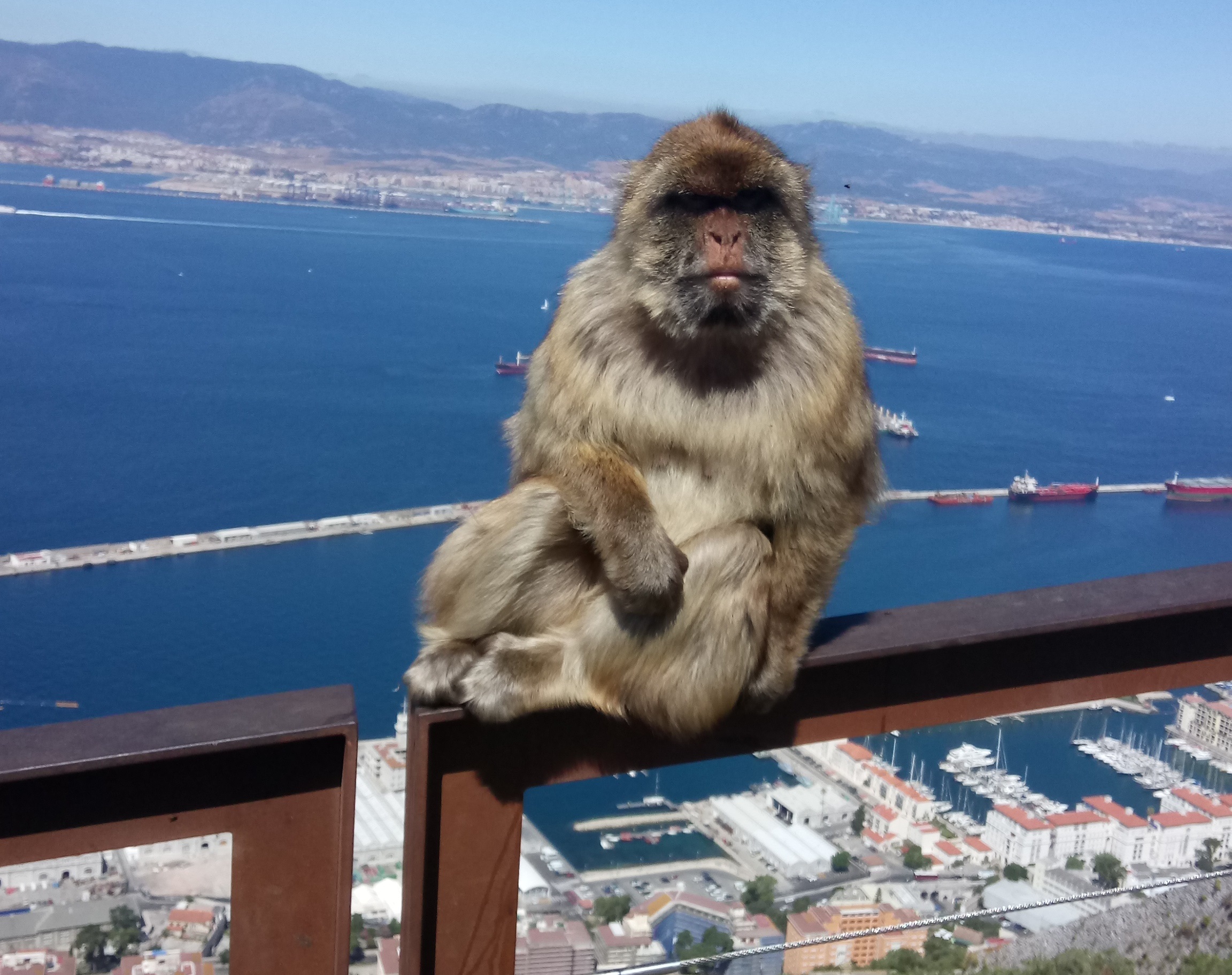 Come sfuggire alle masse turistiche a Gibilterra?