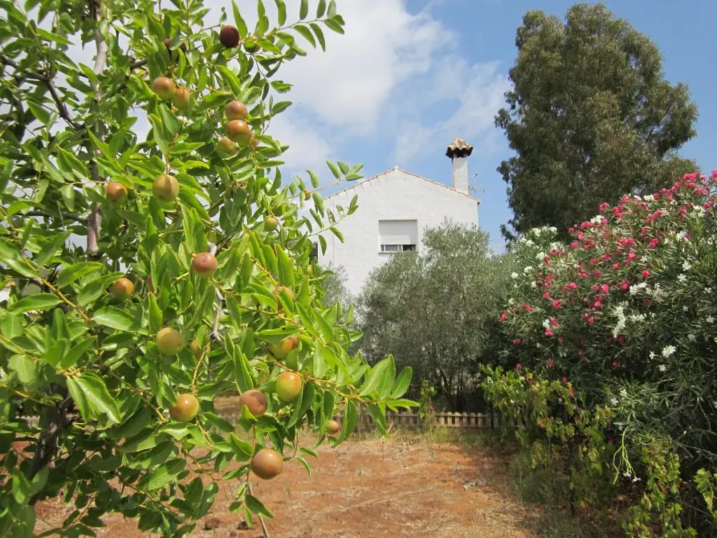 Casa di campagna per 4-5 persone nella pittoresca valle di Vejer de la Frontera