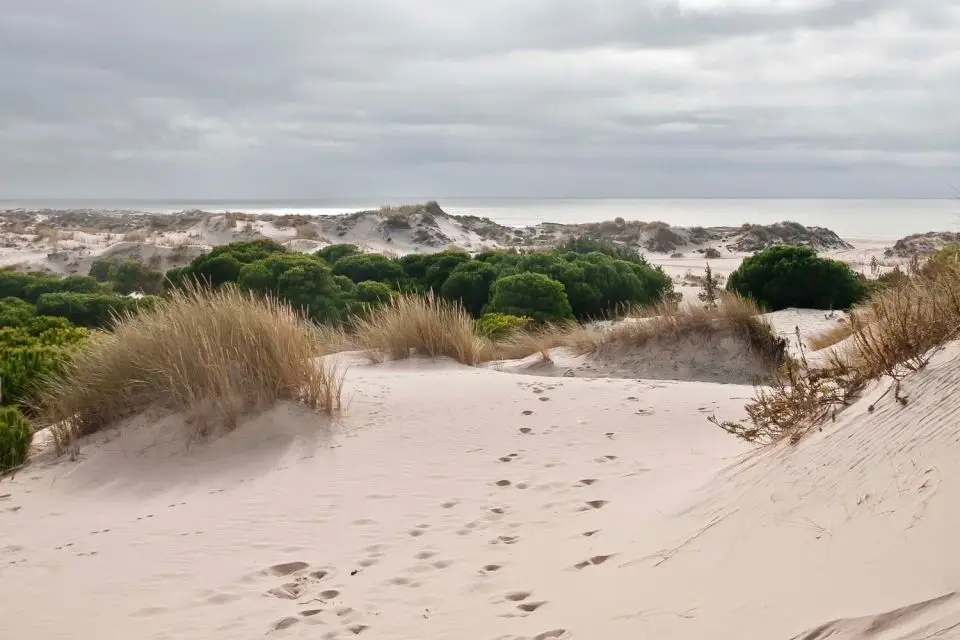 Parco Nazionale di Doñana