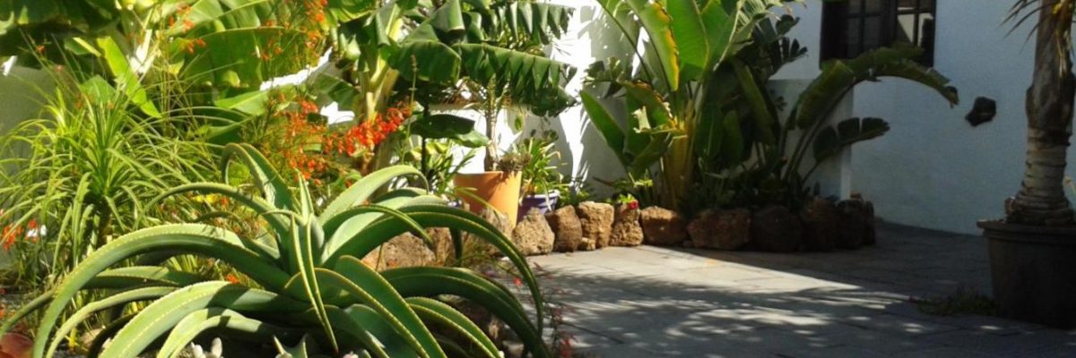 Canary Islands Lanzarote Garden Apart 50547