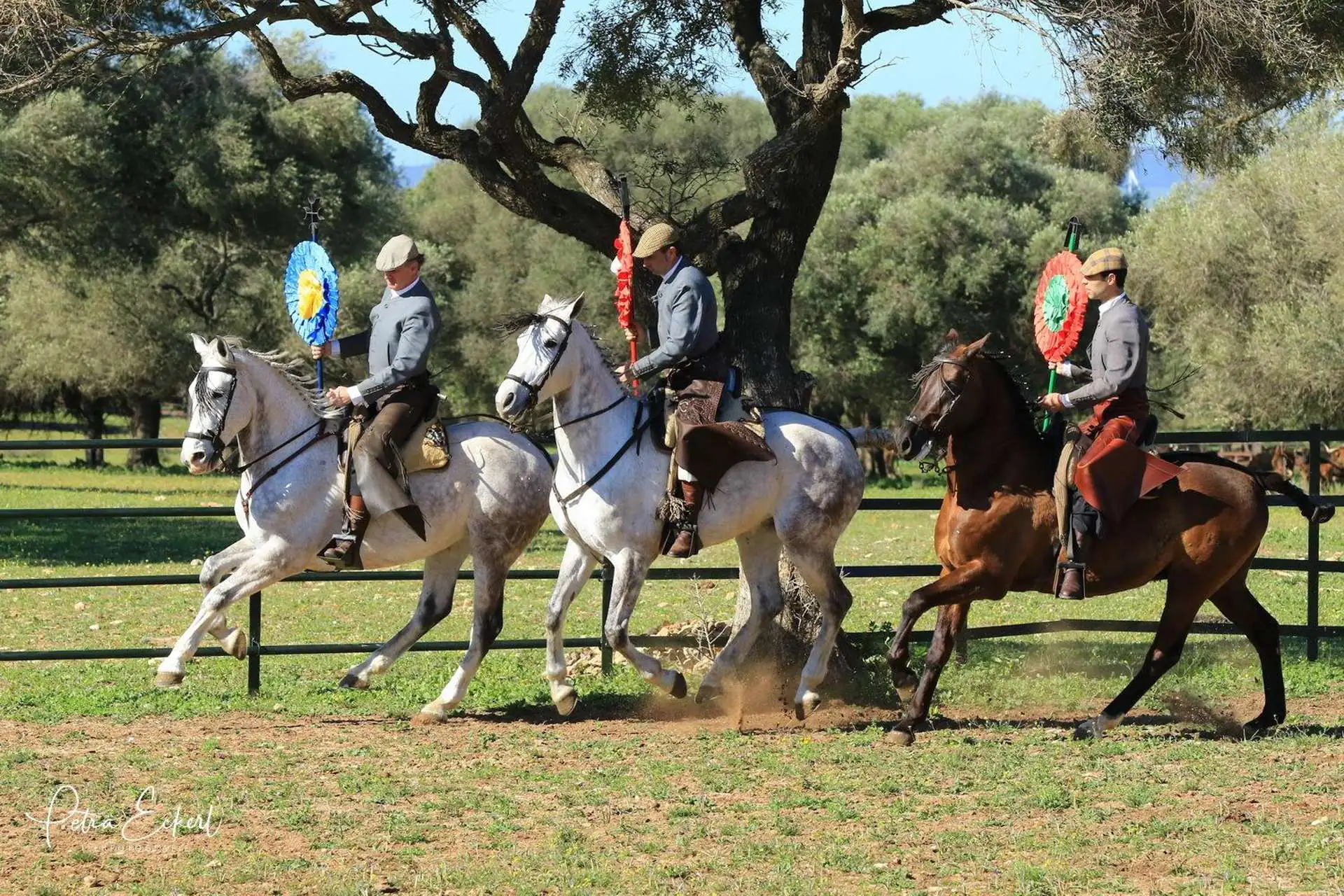 A Campo Abierto, Cadice